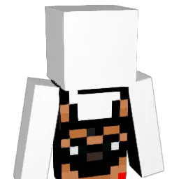 Rbal5927 Minecraft avatar bust
