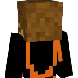 RdmBear_137 Minecraft avatar bust
