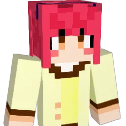 ReA_13 Minecraft avatar bust