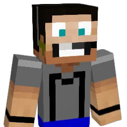 ReMiXeD1993 Minecraft avatar bust