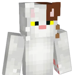 ReNn2K's Minecraft skin