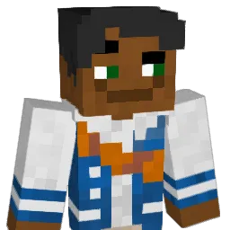 RePAMAN