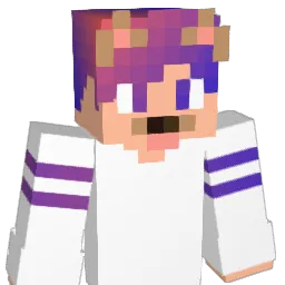 ReV_LIAMZz Minecraft avatar bust