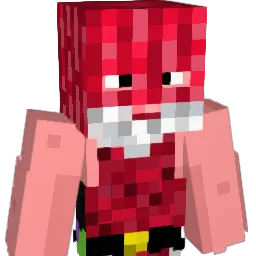 Reaka5 Minecraft avatar bust