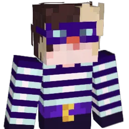 RealCamBurglar