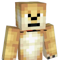RealDogeGaming Minecraft avatar bust