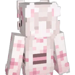 RecWriSum's Minecraft skin