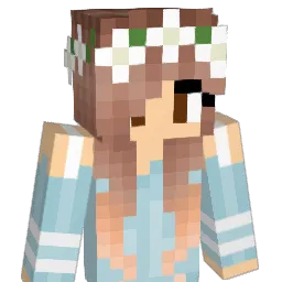 Reesegray06 Minecraft avatar bust