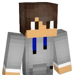 RefleXive51 Minecraft avatar bust