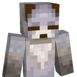 RegalNin07 Minecraft avatar bust