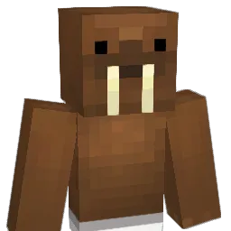 Regenald4 Minecraft avatar bust