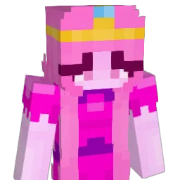 Regenjasje Minecraft avatar bust