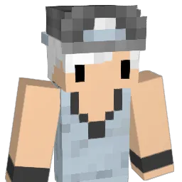 RegisJunior17ANU Minecraft avatar bust