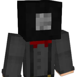 Reifen Minecraft avatar bust