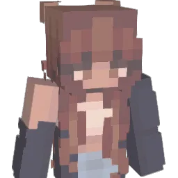 Reinca19 Minecraft avatar bust