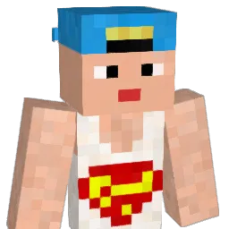 Reisy Minecraft avatar bust