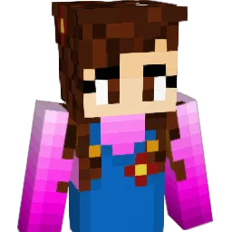Rej2510 Minecraft avatar bust