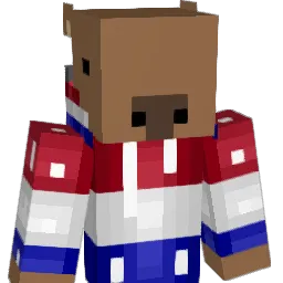 Remedicc Minecraft avatar bust