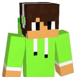 RemixReemas1 Minecraft avatar bust