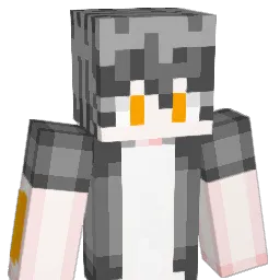 RemoGero