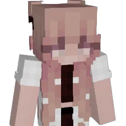 Remonds's Minecraft skin