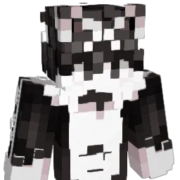 RemvoidQwQ