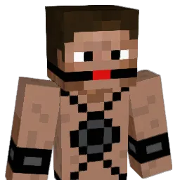 Renard8 Minecraft avatar bust