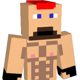 Renax31 Minecraft avatar bust