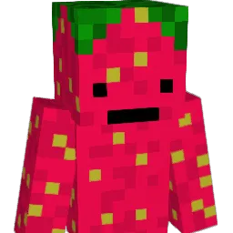 Renee9 Minecraft avatar bust