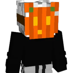 Renixity Minecraft avatar bust