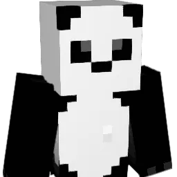 RenjaStar Minecraft avatar bust