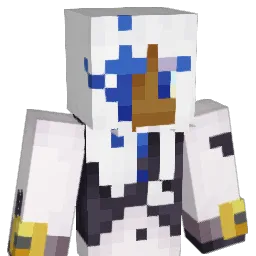 ReportedForUgly Minecraft avatar bust