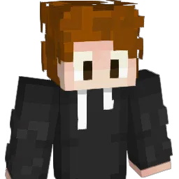 RequiredSandwich Minecraft avatar bust