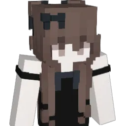 Res0_0 Minecraft avatar bust