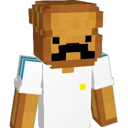 ResolScarft43 Minecraft avatar bust