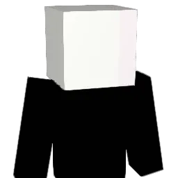 Respondents Minecraft avatar bust