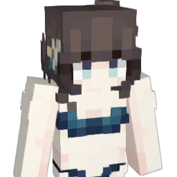 Response_ Minecraft avatar bust