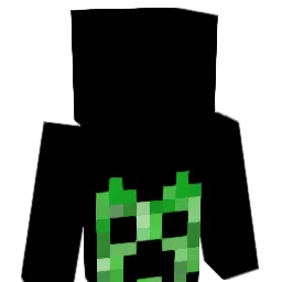 Retro_DS Minecraft avatar bust