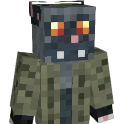 Revaera
