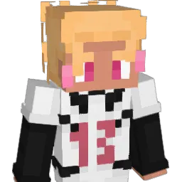 Rflxez Minecraft avatar bust