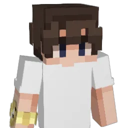 RiNuFeSa Minecraft avatar bust