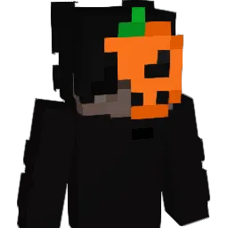 Minecraft-Avatar von Rianmine22: Büste