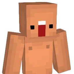 Ricardoxyz Minecraft avatar bust