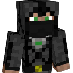 Rich_9115 Minecraft avatar bust