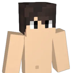 RichardX0815 Minecraft avatar bust