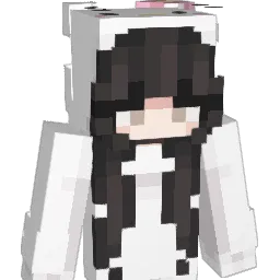Richer0309 Minecraft avatar bust