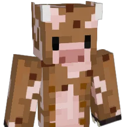 Rick_nijland Minecraft avatar bust
