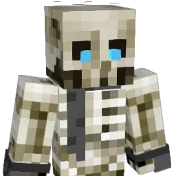 RiddlesDark Minecraft avatar bust