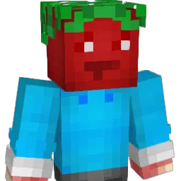 Ridikas Minecraft avatar bust