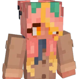 Ridlcam